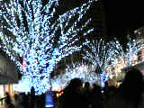 image/sakuragumi-2005-12-25T20:07:26-2.jpg